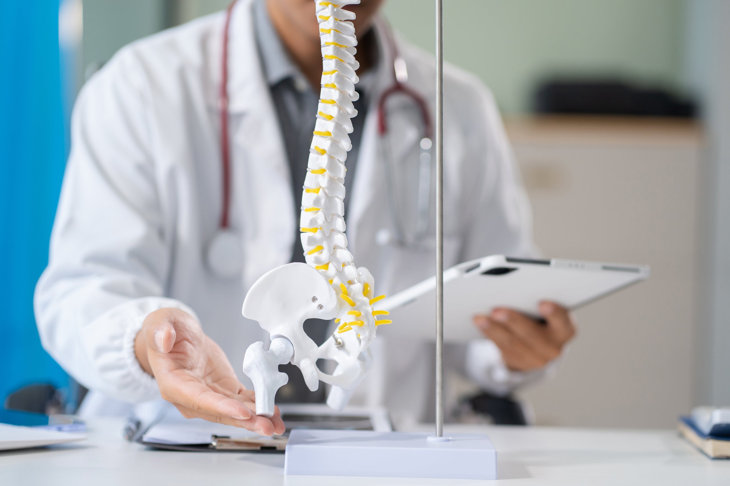 Especialista analizando modelo de columna, mostrando etapas de recuperación de cirugía de columna